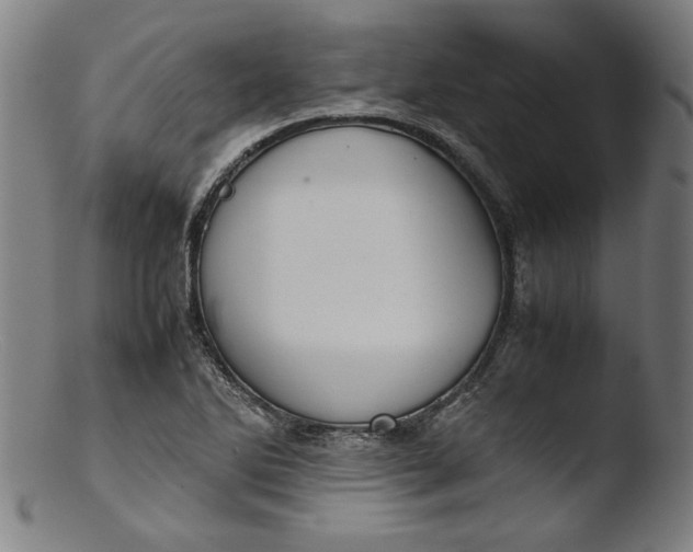 X0000103411270200809261635