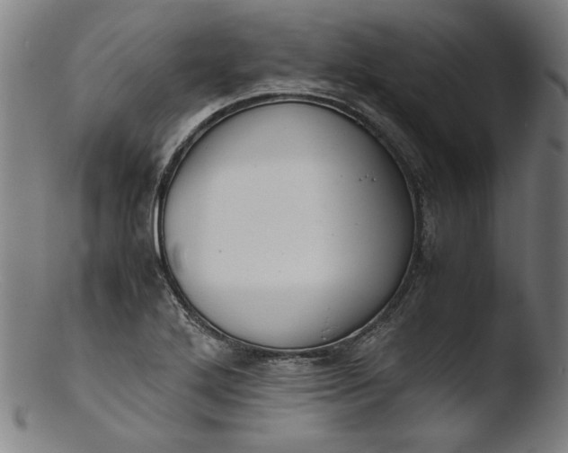 X0000103411272200809261635