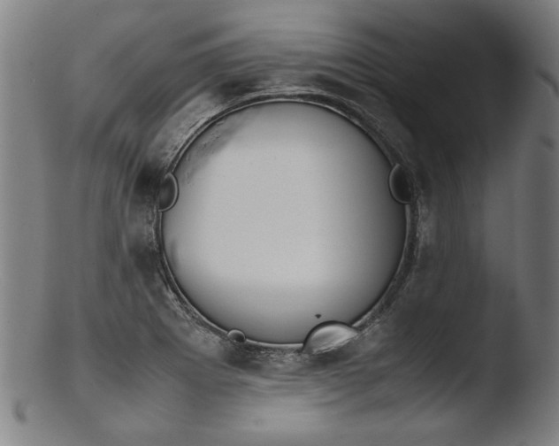 X0000103411273200809261635