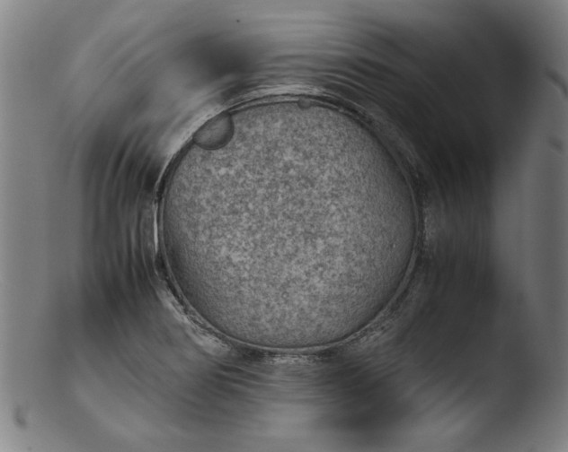 X0000103411274200809261635