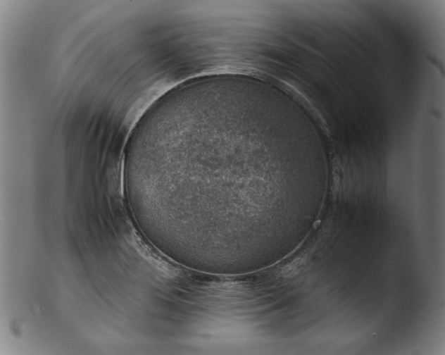 X0000103411276200809261635