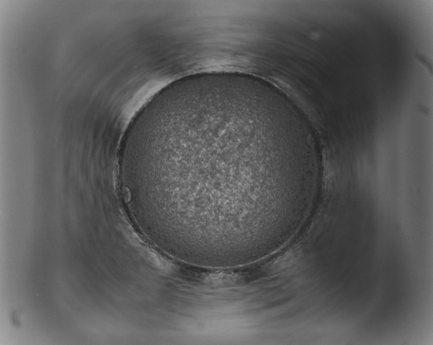 X0000103411277200809261635