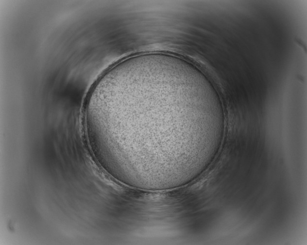 X0000103411278200809261635