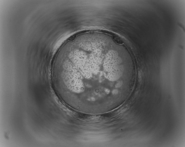 X0000103411279200809261635