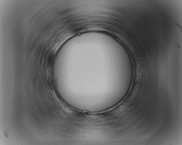 X0000103411281200809261635