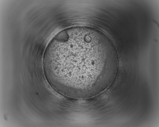 X0000103411283200809261635