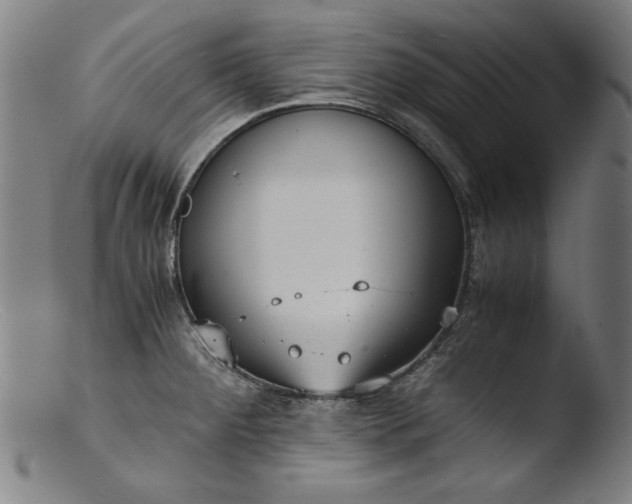 X0000103411284200809261635