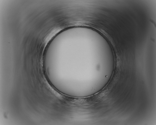 X0000103411285200809261635