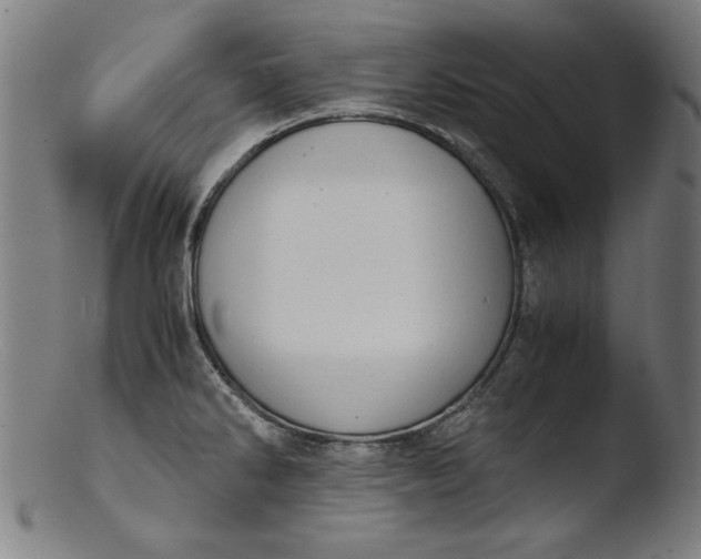 X0000103411286200809261635