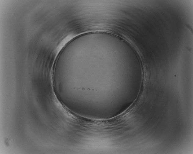 X0000103411291200809261635