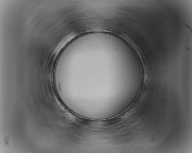 X0000103411293200809261635