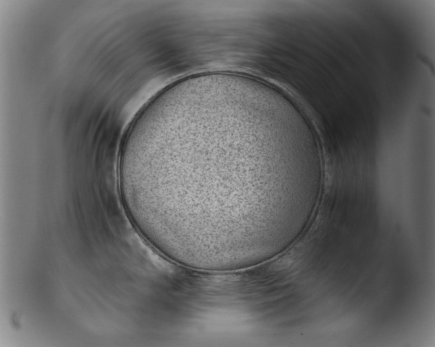 X0000103411294200809261635