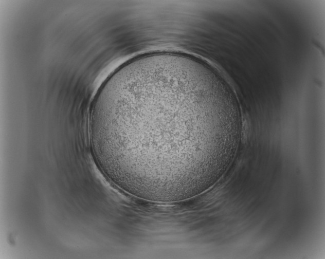 X0000103411295200809261635