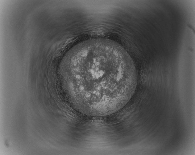 X0000103411297200809261634