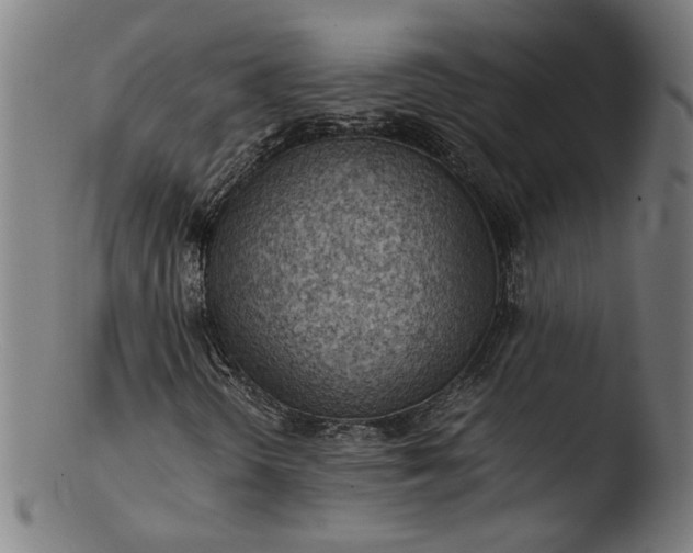 X0000103411298200809261634