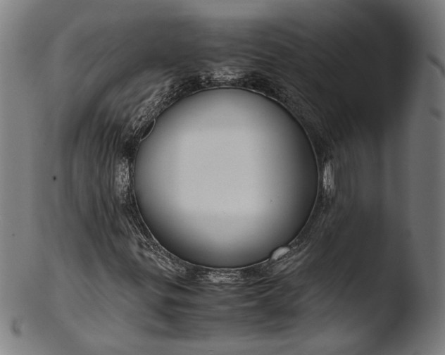 X0000103411299200809261634