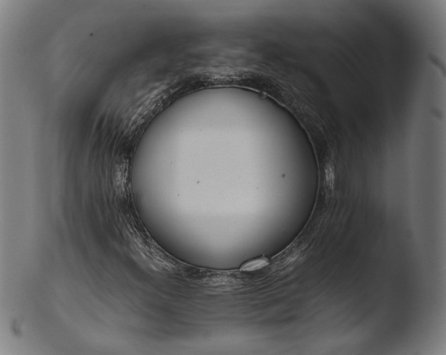 X0000103411300200809261634