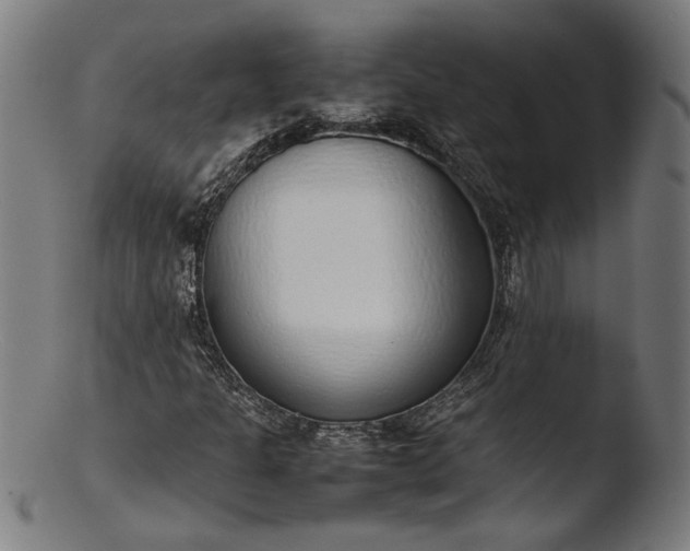 X0000103411301200809261634