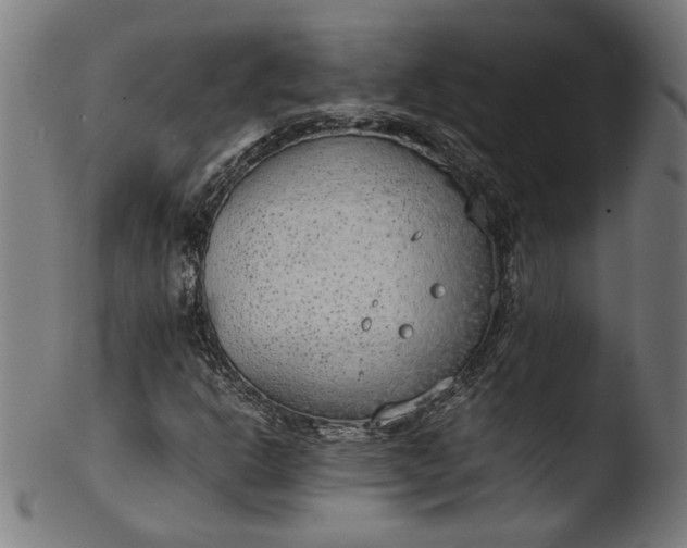 X0000103411302200809261634