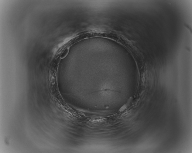 X0000103411303200809261634