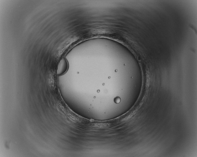 X0000103411305200809261634