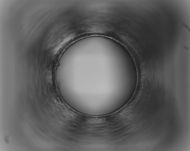 X0000103411307200809261634