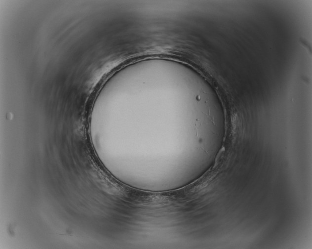 X0000103411308200809261634