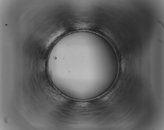 X0000103411309200809261634