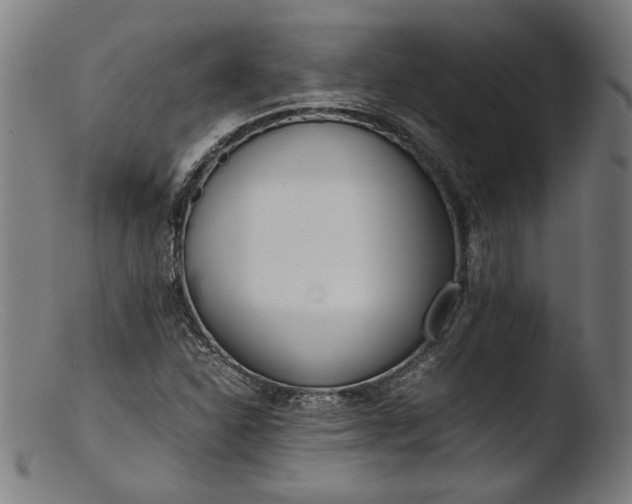 X0000103411310200809261634