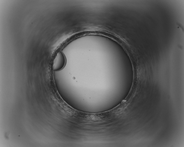 X0000103411311200809261634