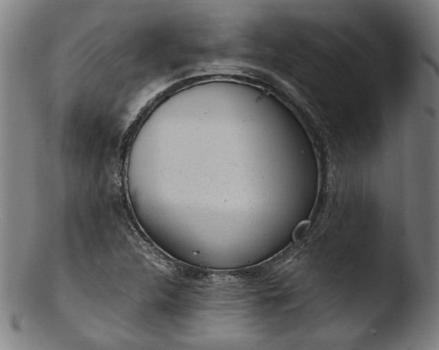 X0000103411312200809261634