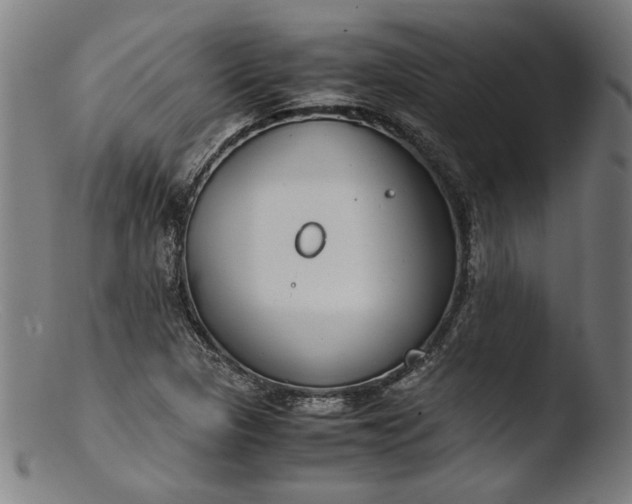 X0000103411313200809261634