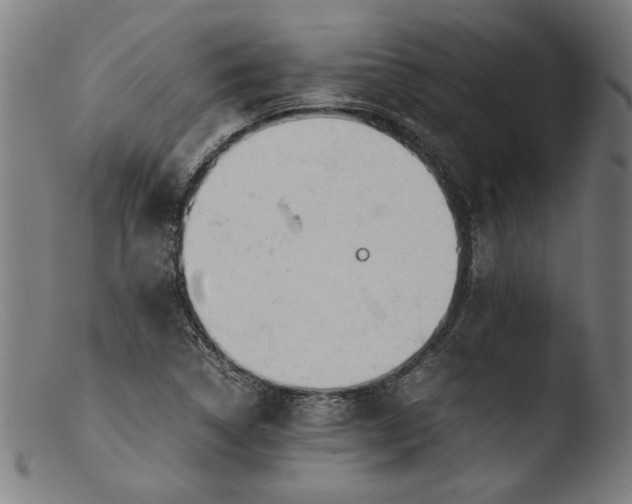 X0000103411314200809261634