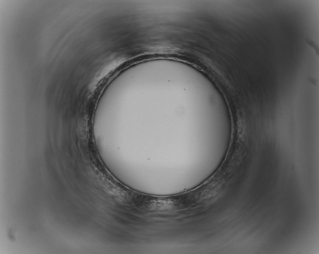 X0000103411315200809261634