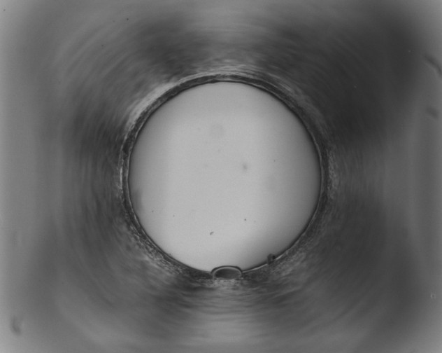 X0000103411316200809261634