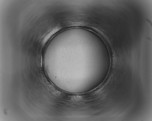 X0000103411317200809261634