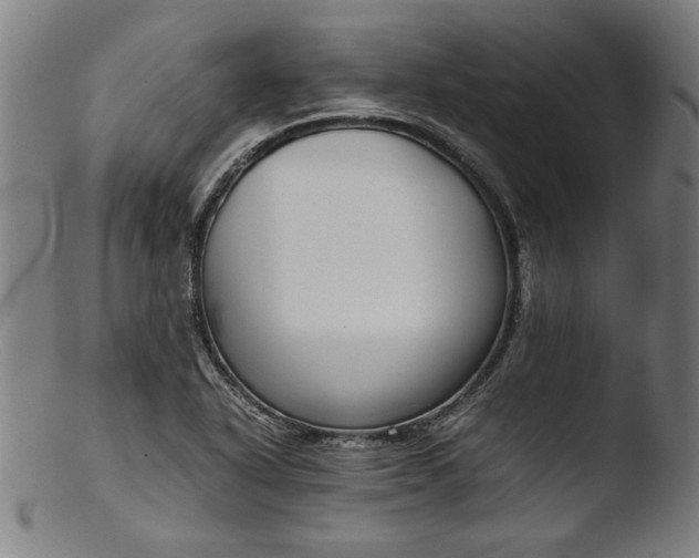 X0000103411318200809261634