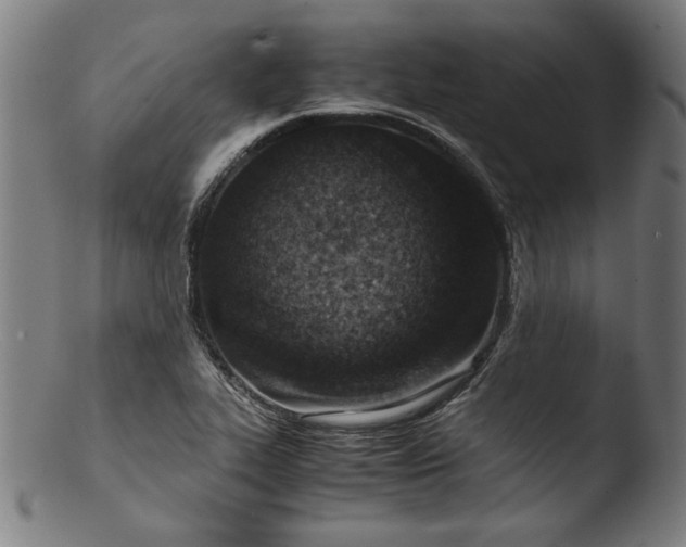 X0000103411319200809261634