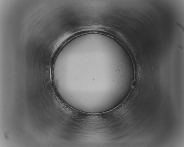 X0000103411320200809261634