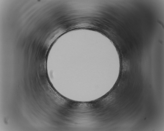 X0000103411322200809261634