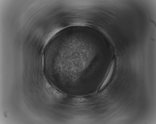 X0000103411323200809261634