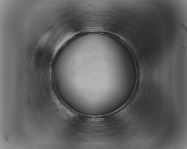 X0000103411325200809261634