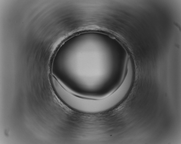 X0000103411326200809261634