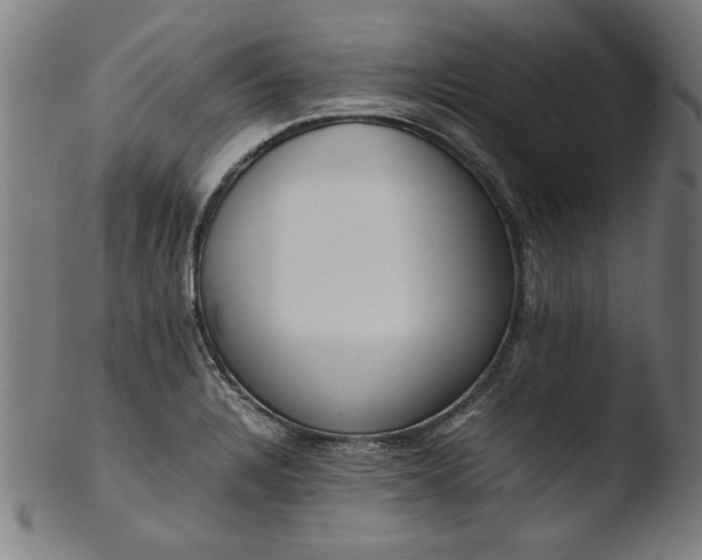 X0000103411328200809261634