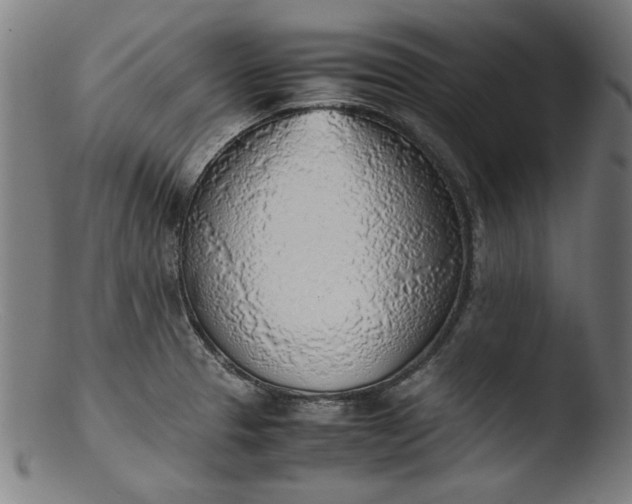 X0000103411329200809261634