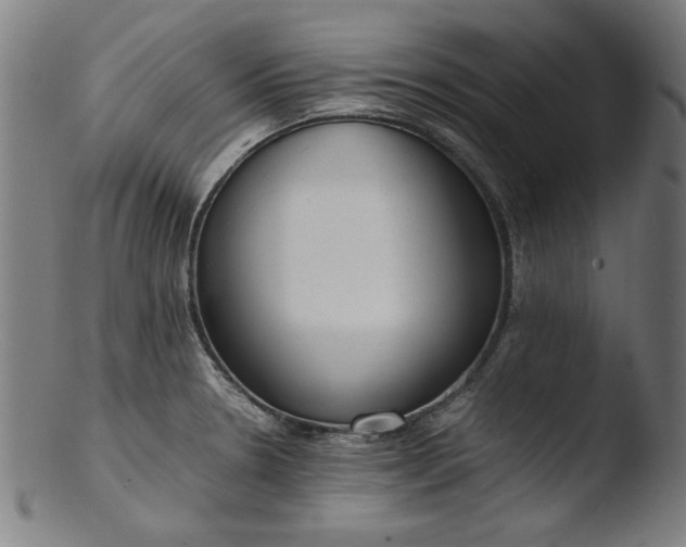 X0000103411330200809261634