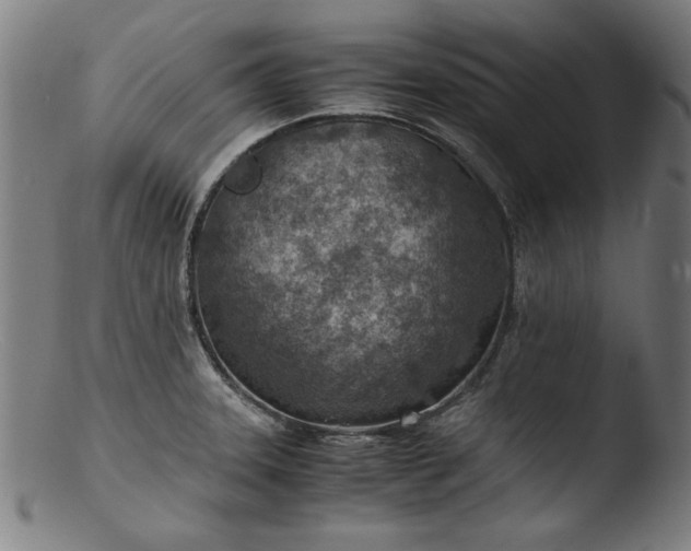 X0000103411331200809261634