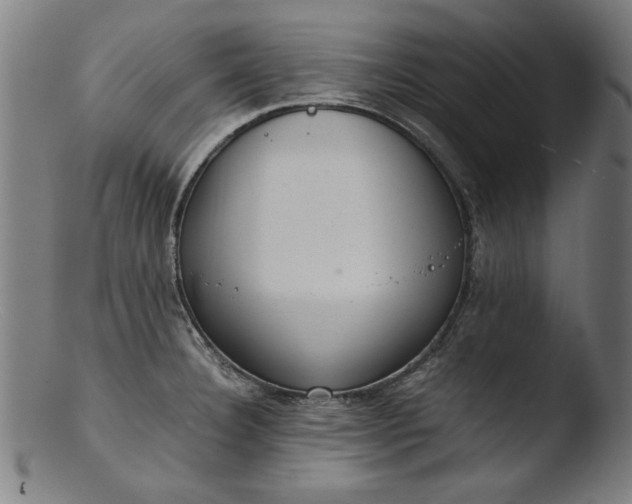 X0000103411332200809261634