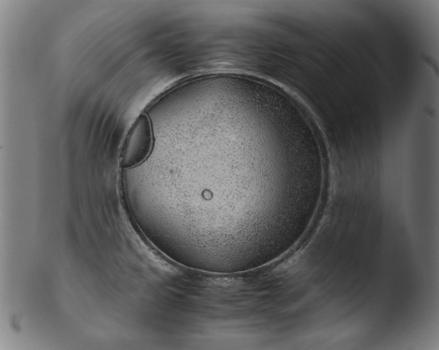 X0000103411333200809261634