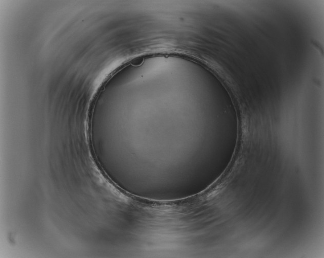 X0000103411334200809261634